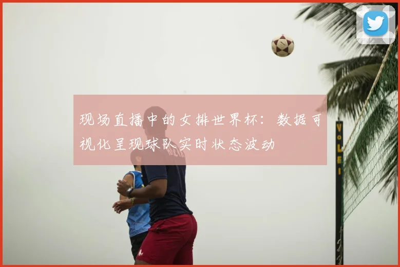 现场直播中的女排世界杯:数据可视化呈现球队实时状态波动