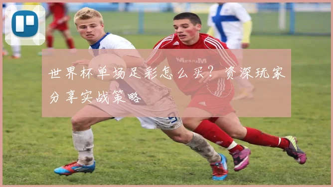 世界杯单场足彩怎么买？资深玩家分享实战策略