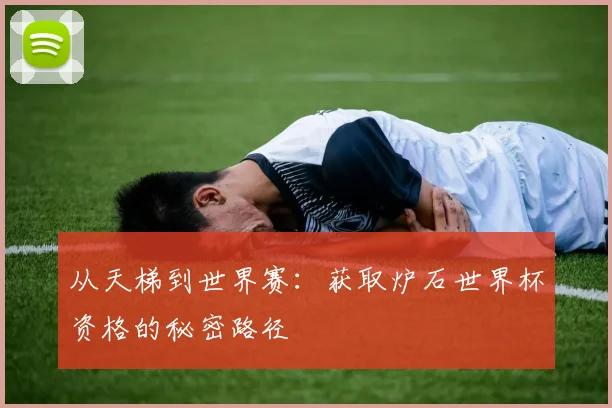 从天梯到世界赛：获取炉石世界杯资格的秘密路径