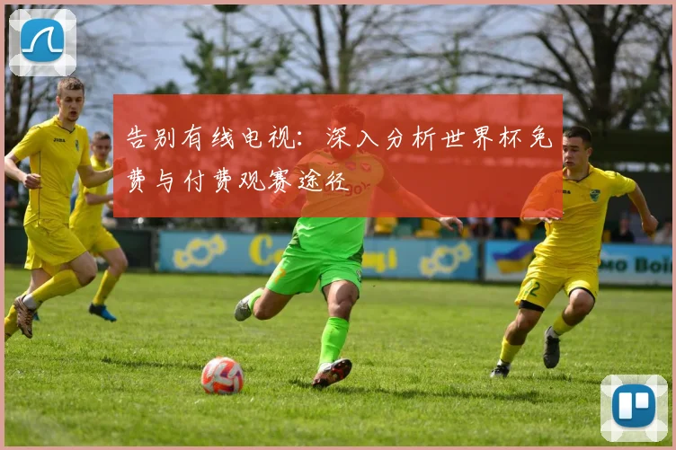 告别有线电视：深入分析世界杯免费与付费观赛途径