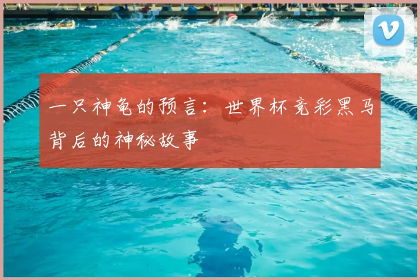 一只神龟的预言:世界杯竞彩黑马背后的神秘故事