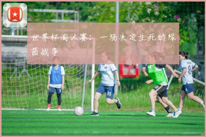 世界杯淘汰赛：一场决定生死的绿茵战争