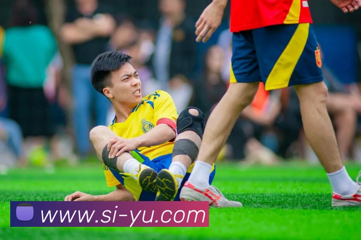 西班牙2012欧洲杯不败卫冕夺冠回顾：关键战役、战术与球员表现